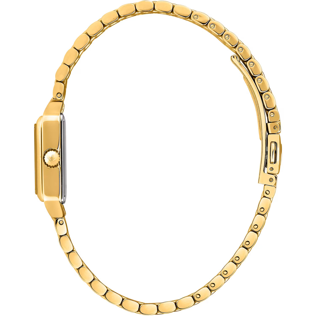Lucien Rochat | Orologio Aurorae