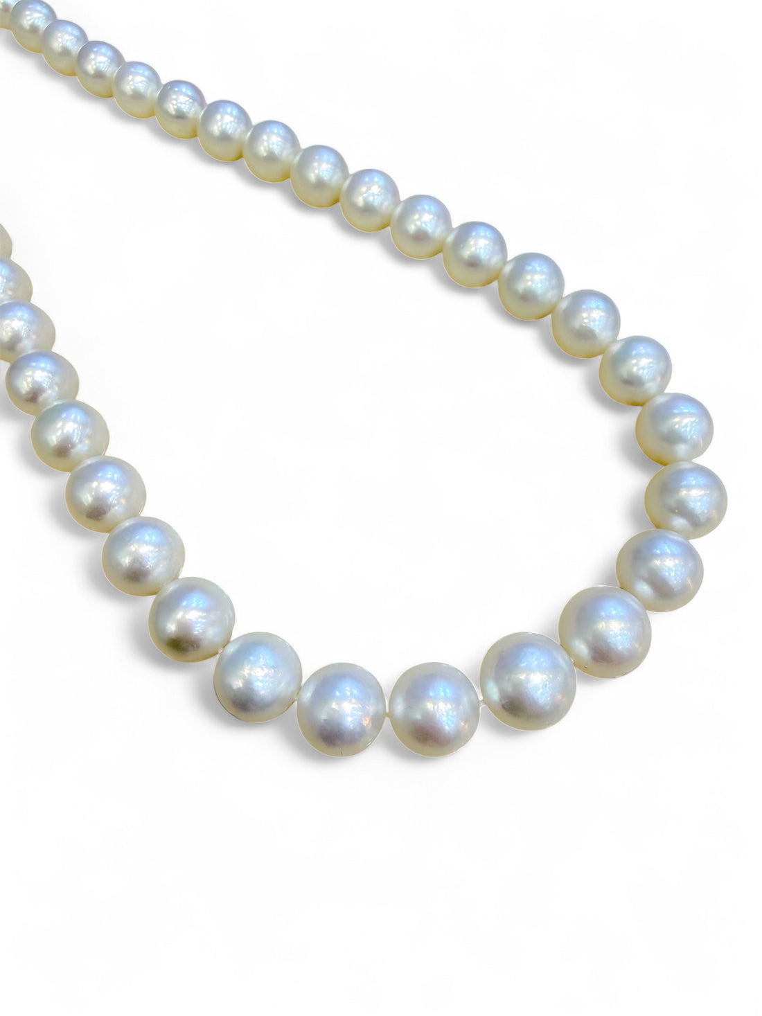 Salvini Gioielli | Filo di perle Australia