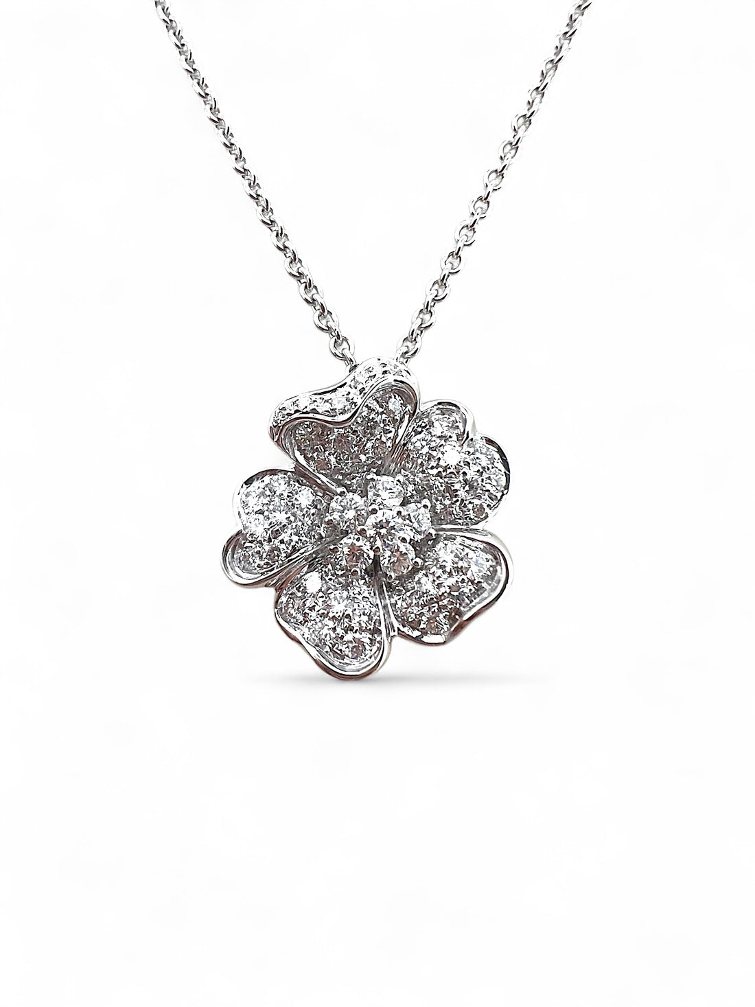 Leo Pizzo | Collana Flora