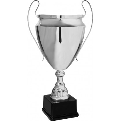 Trofeo coppa con manici