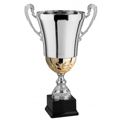 Trofeo coppa con manici