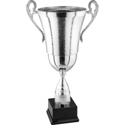 Trofeo coppa con manici