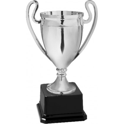 Trofeo coppa con manici