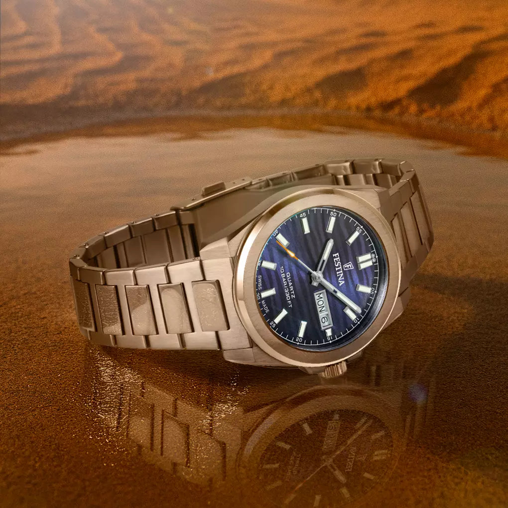 Festina | Orologio da uomo Festina Swiss Made Dune F20073/2