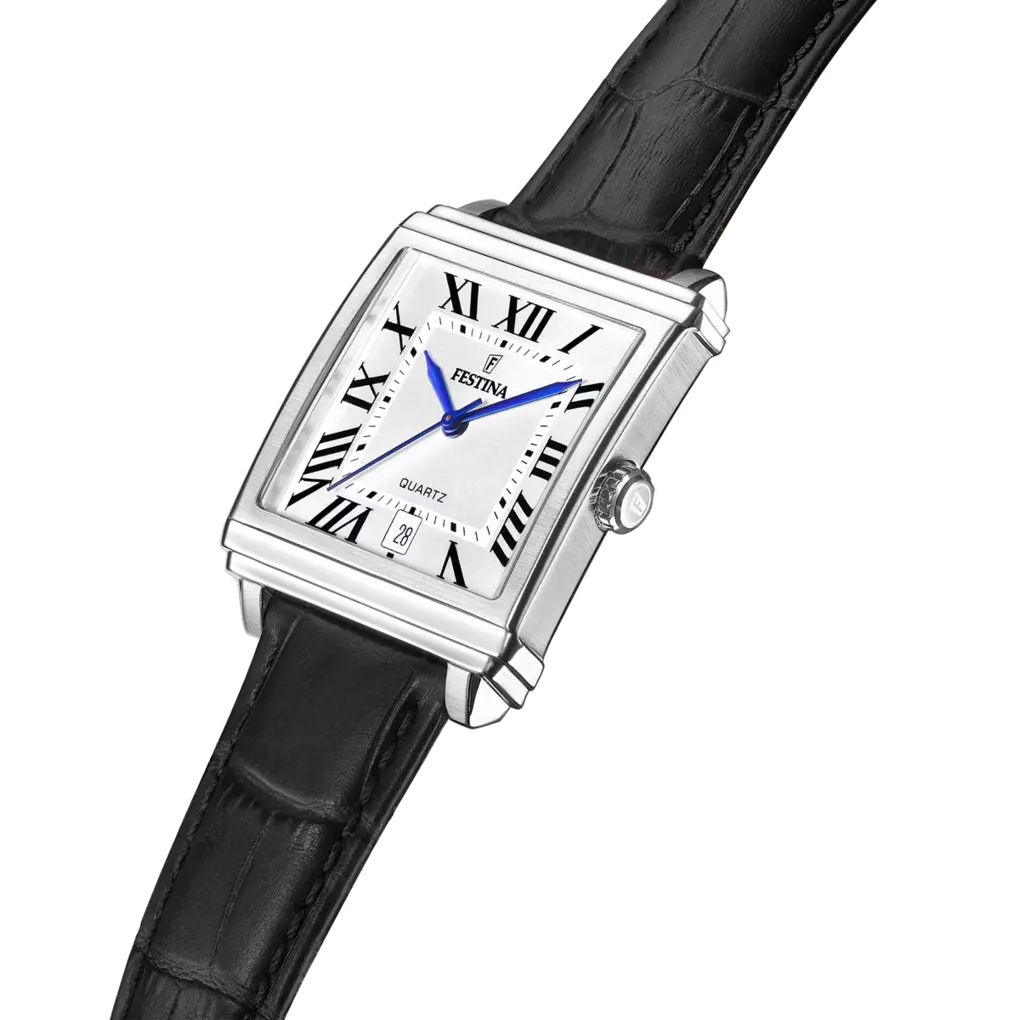 Festina | OROLOGIO FESTINA F20681/1 SILVER UOMO