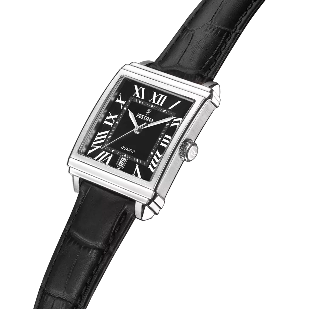 Festina |Orologio da uomo Festina On The Square F20681/3